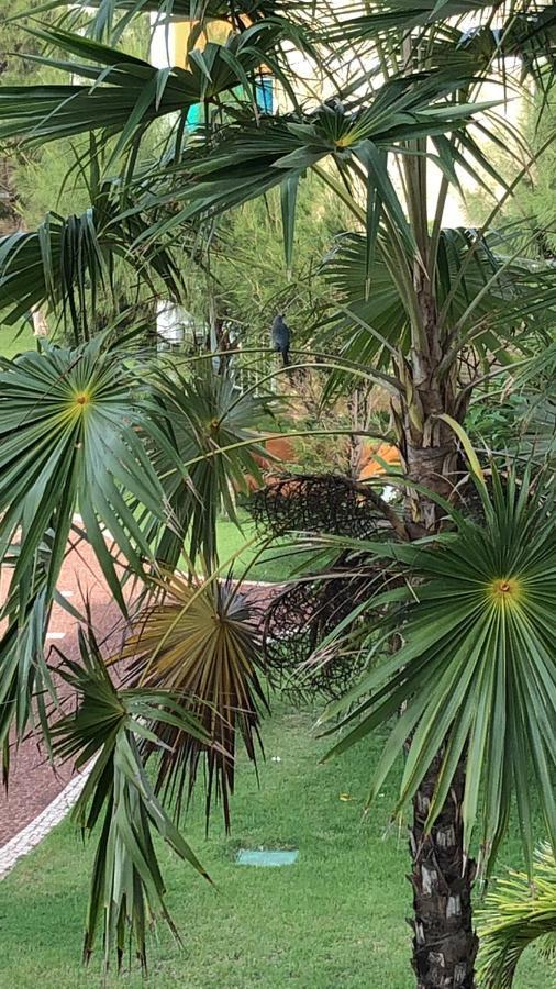 Vila Do Porto Resort - Charme E Conforto! アキラス エクステリア 写真
